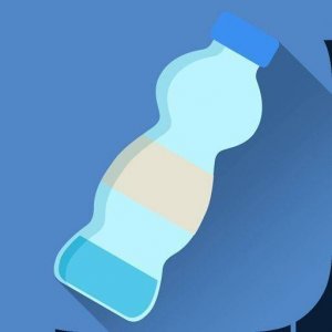Bottle Flip Challenge DAB Online Game