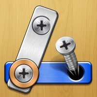 Screw Master: Pin Puzzle Online Game - Puzzle Game