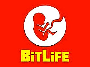 BitLife Life Simulator Online Game
