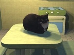 Maxwell Clicker Online Game - Cute Cat Clicker