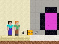 Steve and Alex House Escape Puzzle