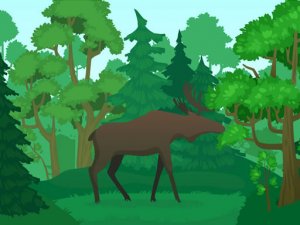 Wild Animals Coloring Online Game