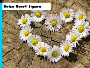 Daisy Heart Jigsaw Puzzle Game