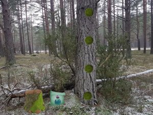 Return To The Frozen Forest Online Puzzle Game