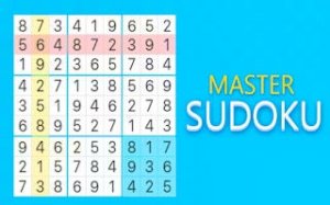 Sudoku Puzzle Challenge