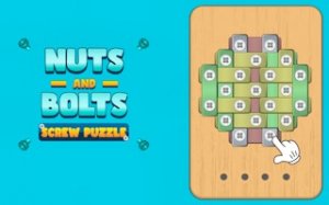 Wooden Puzzle Challenge