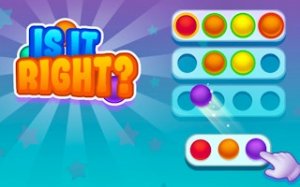 Is It Right? Logic Puzzle Game