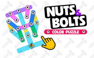 Nuts & Bolts: Color Puzzle Game Online