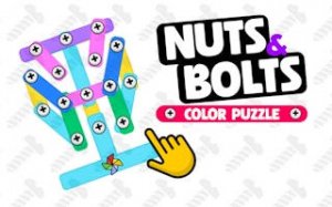 Nuts and Bolts: Color Puzzle
