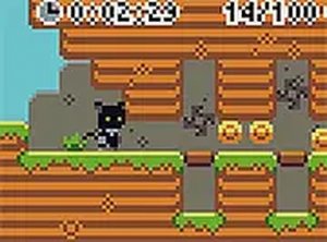 Cat Coin Quest: Jungle Puzzles
